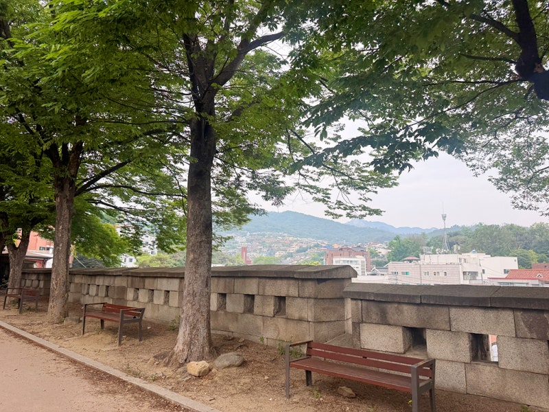 사진 7
