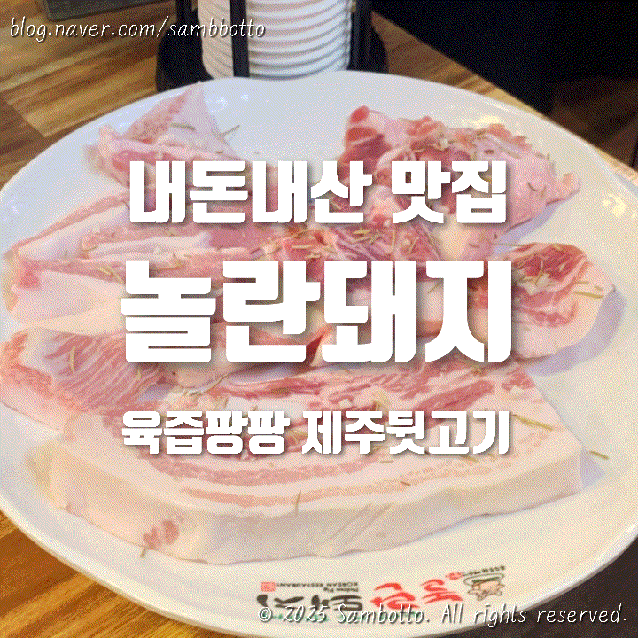  [내돈내산] 제주 뒷고기 맛집, 육즙 파티!!문산 놀란돼지 솔직 후기