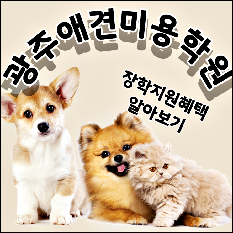  광주강아지미용, 실무역량을 키우려면 이바우펫에서 준비하자