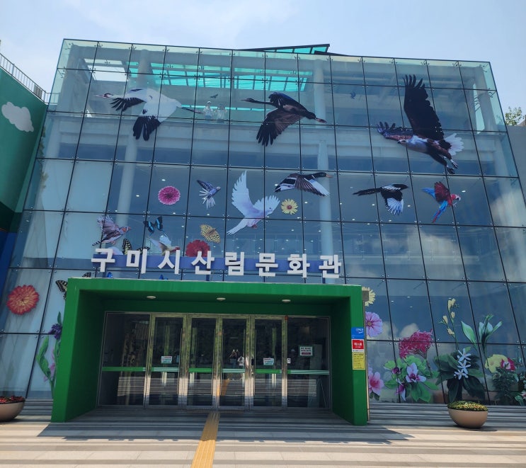  구미 에코랜드 모노레일 짚코스터 가볼만한곳 추천