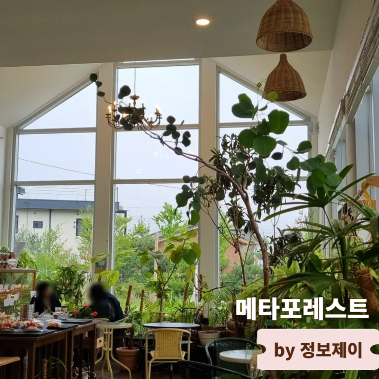  강화 가볼만한 곳 메타세콰이어 숲속 카페 메타포레스트