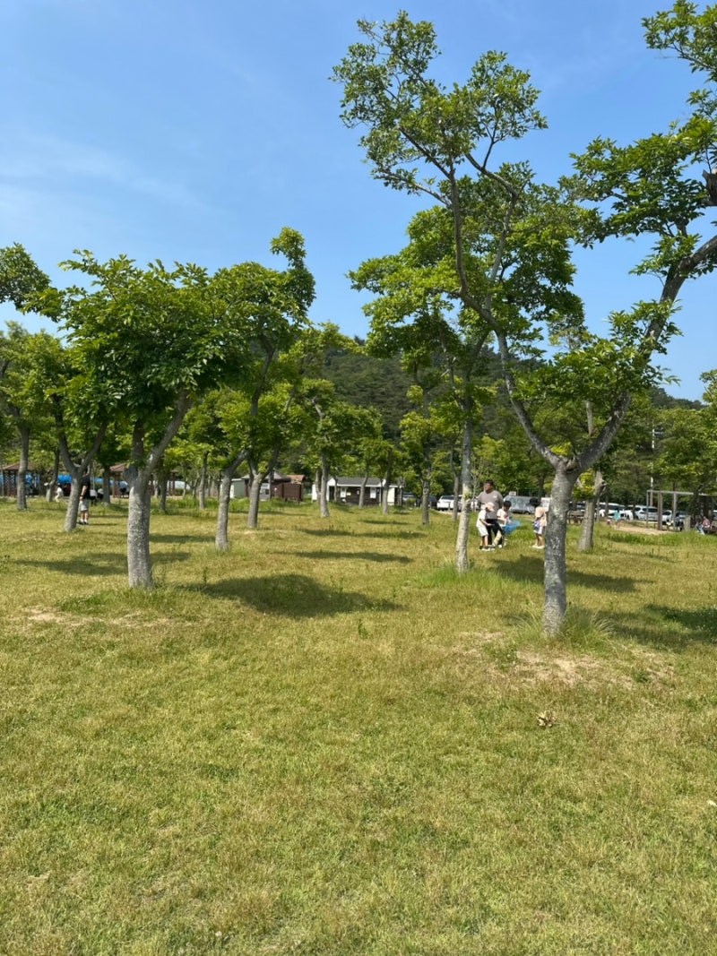 쇠평어린이공원