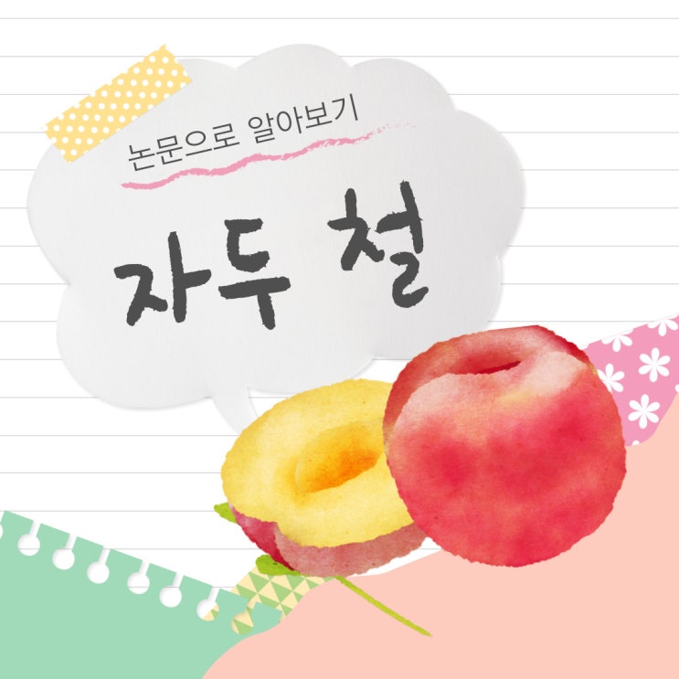 자두 철 논문으로 알아보는 놀라운 효능