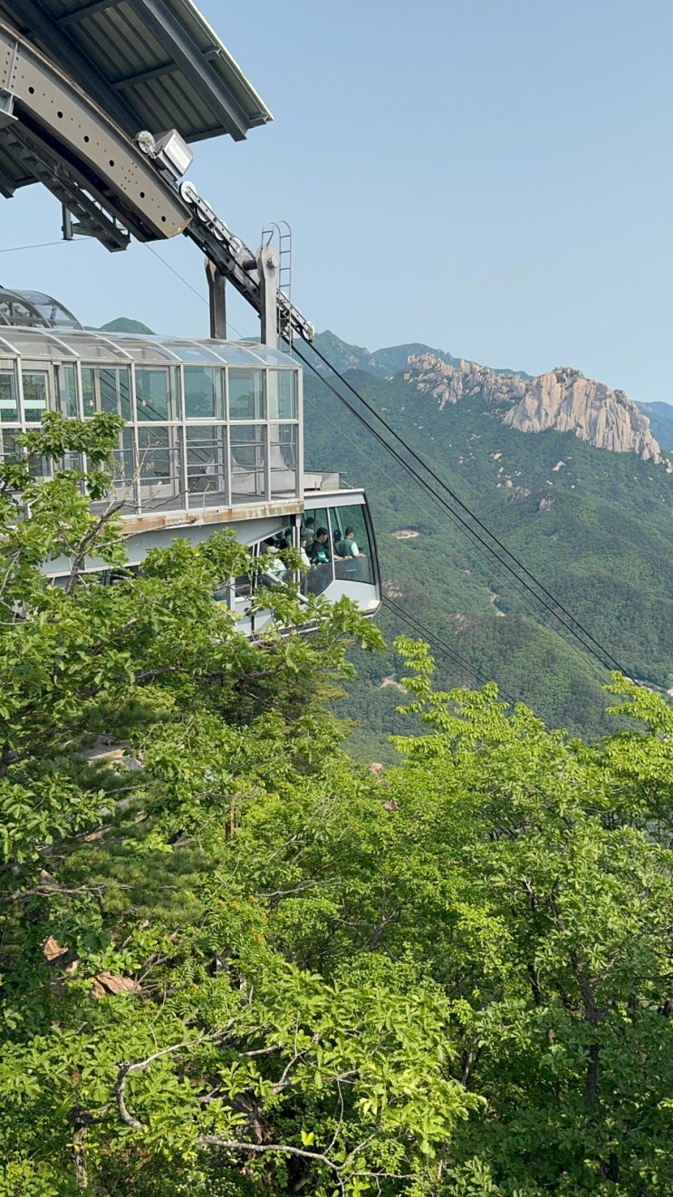  속초 설악산 케이블카 타는 방법 주차, 티켓팅, 준비물 꿀팁