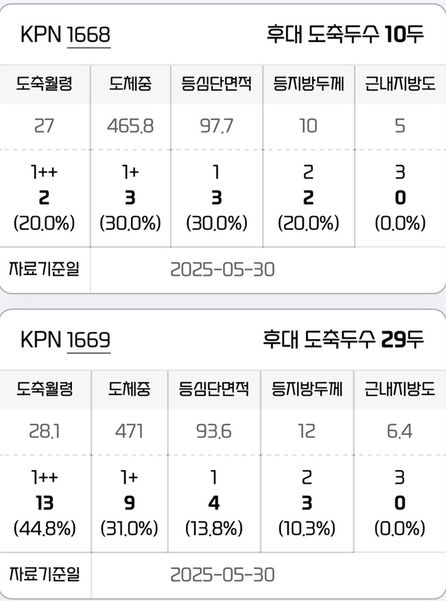  "2025년 상반기 신규KPN 도축성적"(6월 2일기준)