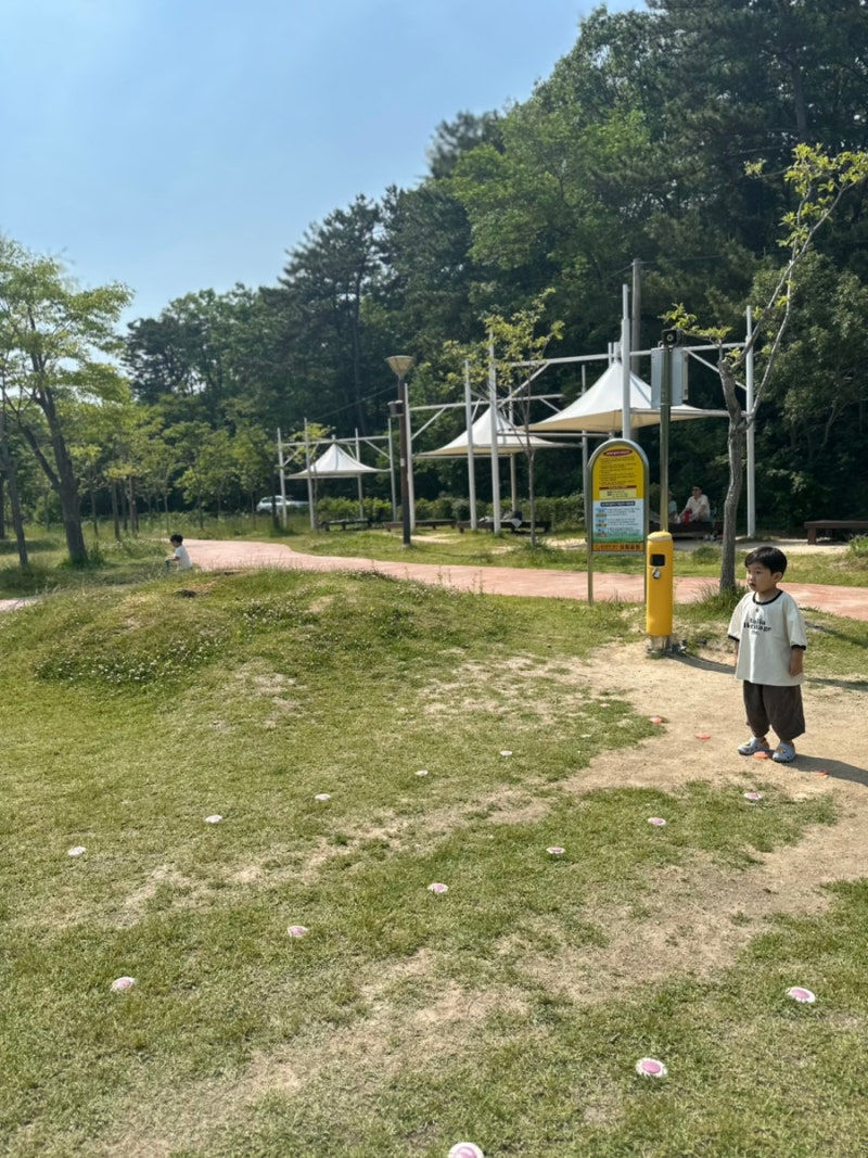 사진 2