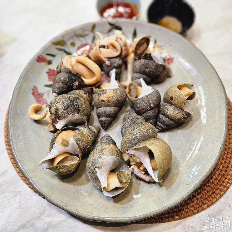  골뱅이 삶는법 동해 백골뱅이 흑골뱅이 차이 맛있게 먹는법