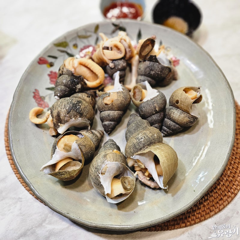 골뱅이 삶는법 동해 백골뱅이 흑골뱅이 차이 맛있게 먹는법