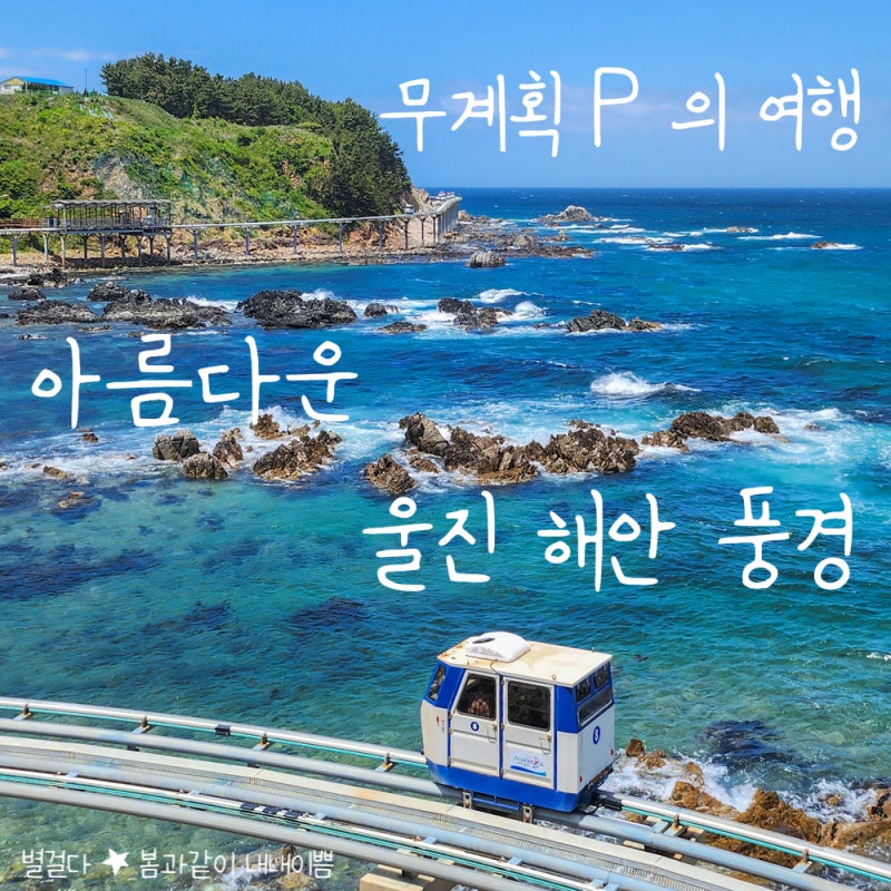 사진 2