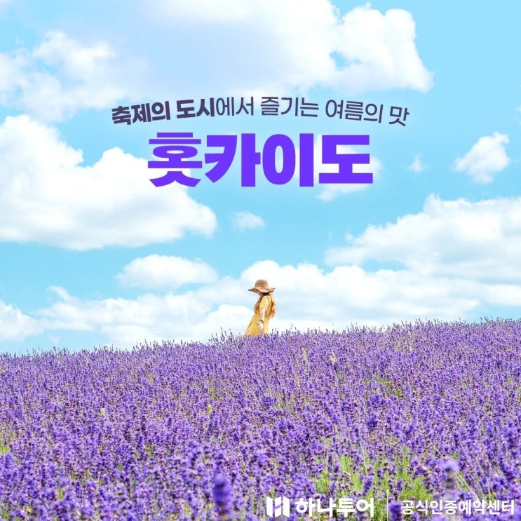  [2025 북해도 여행] 여름 꽃축제 & 맥주축제 총정리! 일본 여름축제 추천