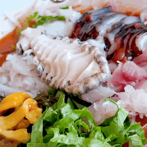  [속초 봉포머구리집 솔직후기] 해산물, 물회 맛집 내돈내산