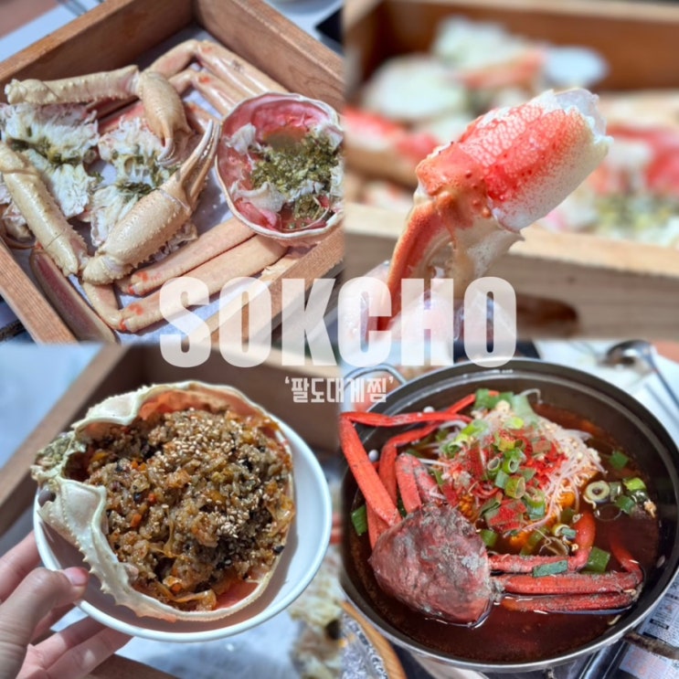  속초 동명항 대게 맛집 추천 '팔도대게찜'