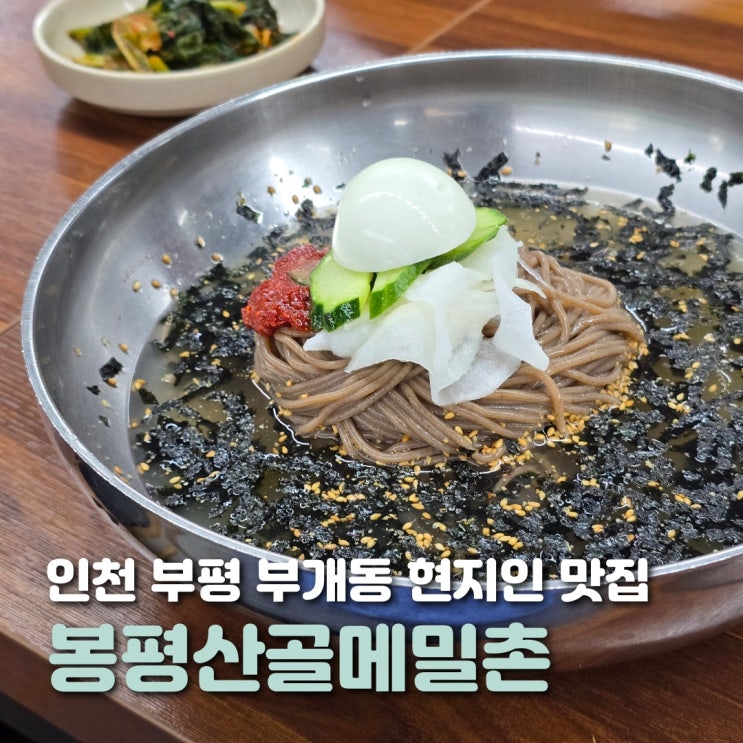  인천 부평 식당 봉평산골메밀촌 시원한 막국수 맛집