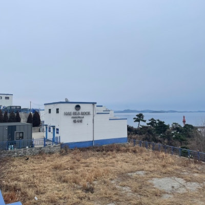 사진 5