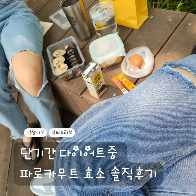 단기간 다이어트 중 카무트 파로 효소 100% 먹어본 솔직후기