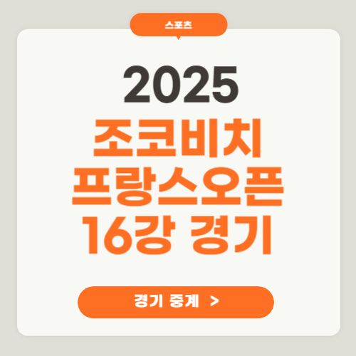 롤랑가로스 <b>프랑스오픈</b> 16강 경기중계, <b>100승</b> 도전! <b>조코비치</b>v... 