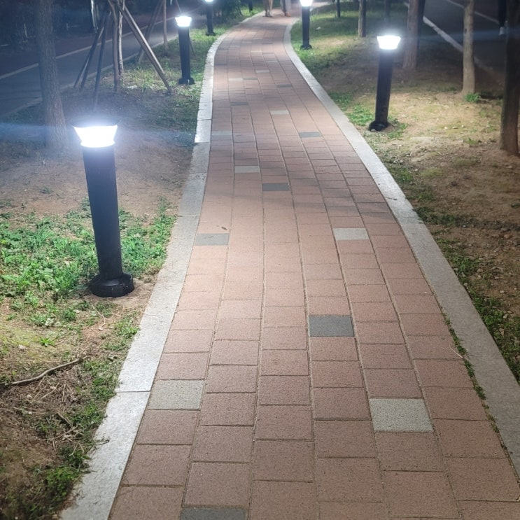  당뇨 증상 중에 새치도 있고 잦은 배뇨 작용도 있다니... 혈당  너 진짜!