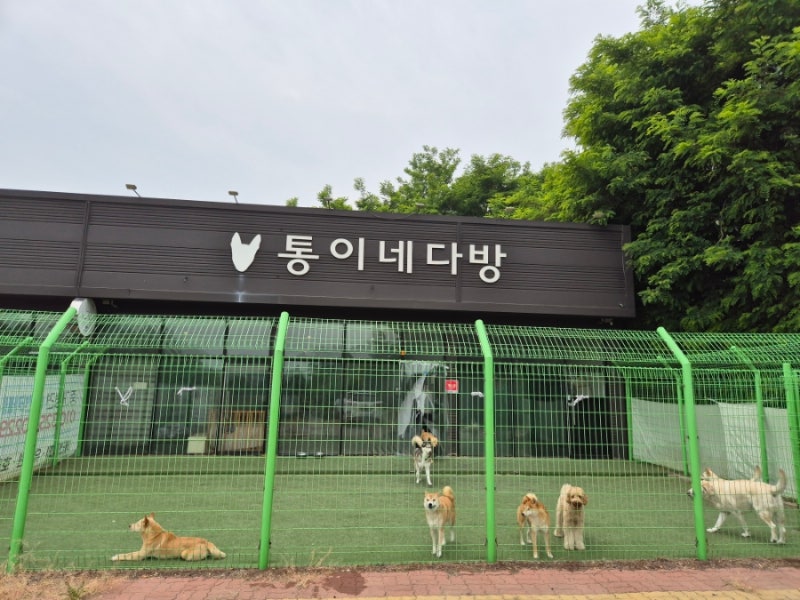 사진 3