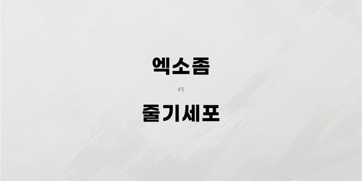  엑소좀 vs 줄기세포, 차이를 아시나요?