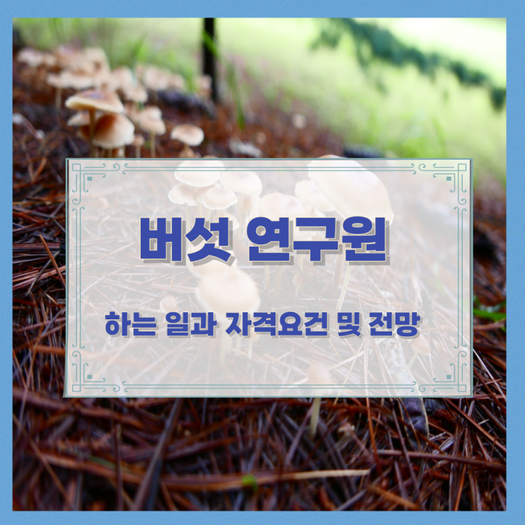 버섯 연구원이 하는 일과 자격요건 및 전망 버섯 연구원이 하는 일과 자격요건 및 전망
