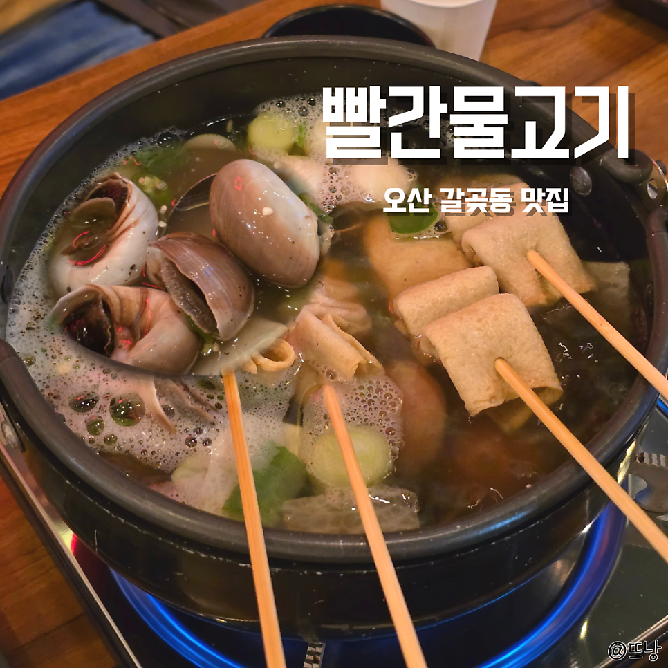 빨간물고기 사진 1