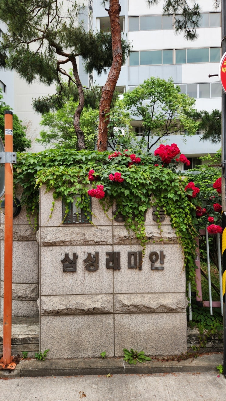   강동구 성내동 삼성아파트 임장 리뷰