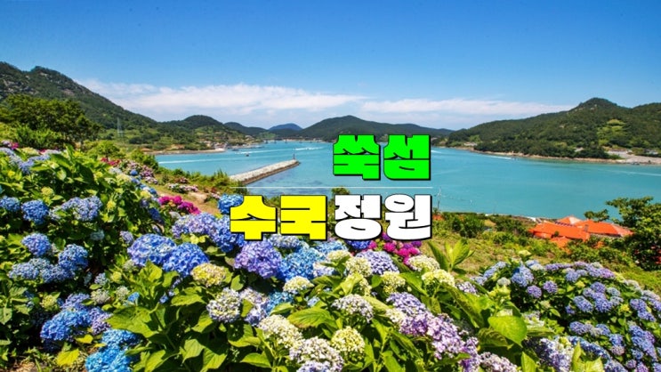 전남 고흥 가볼만한곳 · 애도 쑥섬 수국 개화시기 (쑥섬 배타는곳 배편 예약 입장료) 전남 고흥 가볼만한곳 · 애도 쑥섬 수국 개화시기 (쑥섬 배타는곳 배편 예약 입장료)