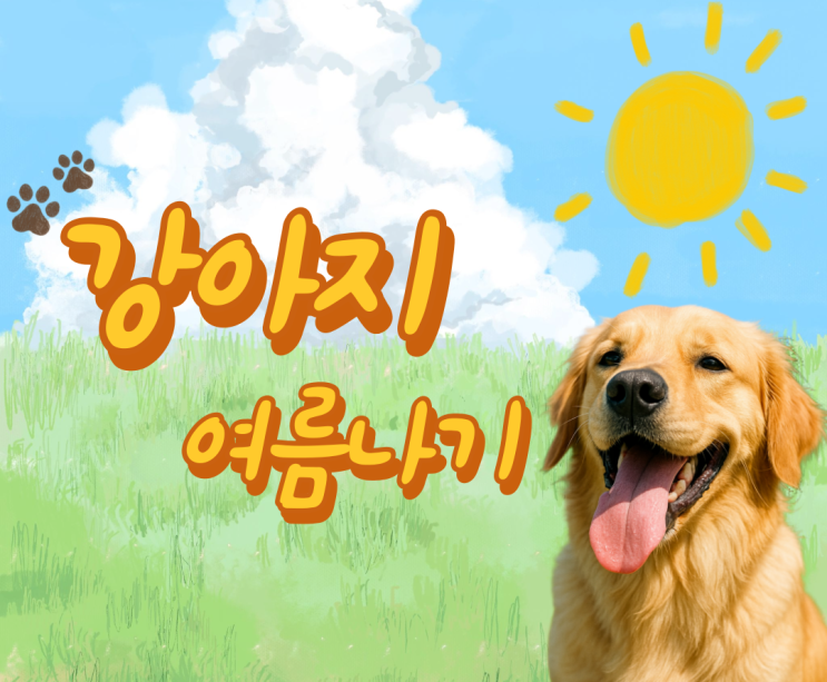  강아지 여름나기 준비해보아요