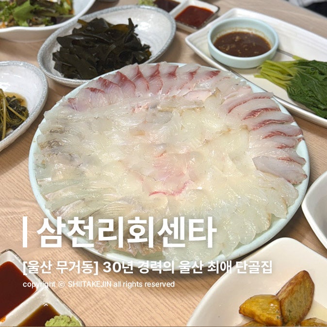  [울산 무거동 맛집] 가성비 갑! 낮술하기 좋은 신복 무거동 30년 경력의 노포 횟집, 삼천리회센타