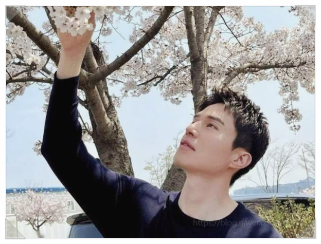  이동욱 선거투표 찍을 사람 없다고? 그럼 최악을 막아야지 소신발언