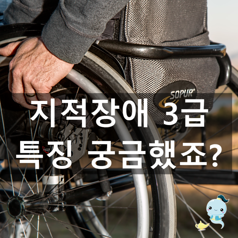 지적장애 3급 특징 궁금했죠? 다른 등급과의 차이