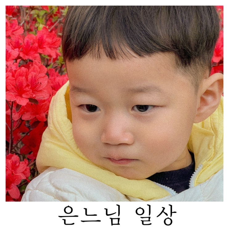  [은느님 일상]아픈만큼 성장한다
