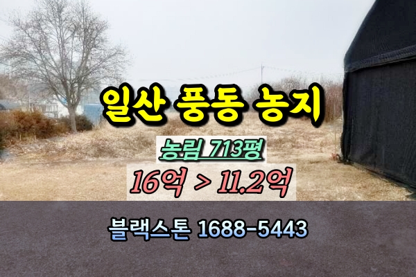  일산동구 풍동 농지 경매 1천평이하 10억 [2025타경217]