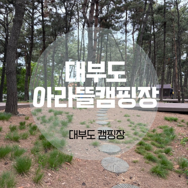 대부도 아라뜰 캠핑장 D9 아이와 갯벌체험 먹이주기 가능한 깨끗한 곳