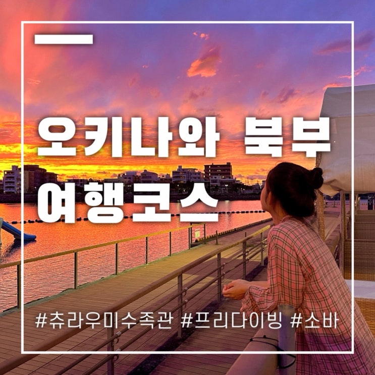  오키나와 북부 여행코스 추천 소바 스노쿨링 프리다이빙 명소 소개할게요