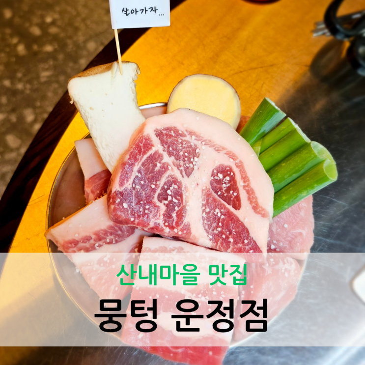  산내마을 맛집 숙성 삼겹살 숯불구이 전문점 뭉텅 운정점