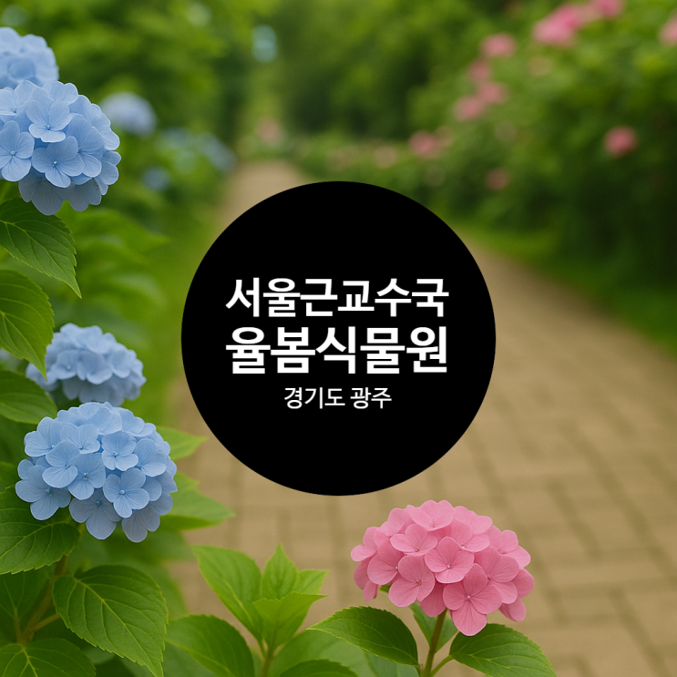  광주 율봄식물원 수국 시즌 서울근교 나들이로 딱