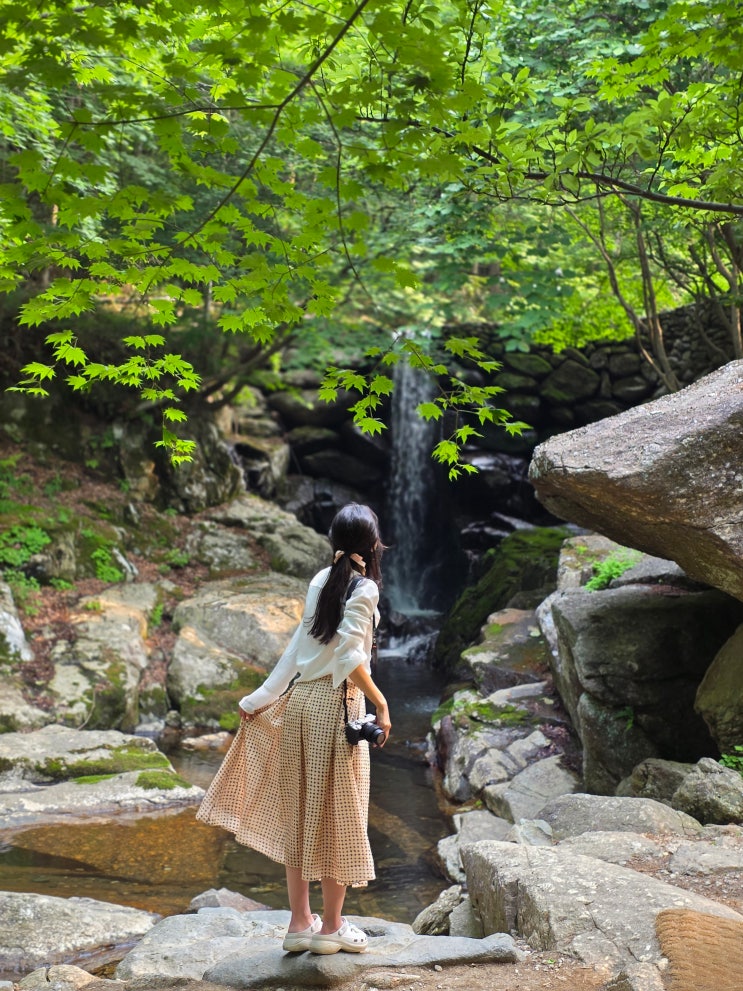  경남 하동 삼성궁 입장료 주차 팁, 지리산 삼성궁 6월 국내 여행지 추천!