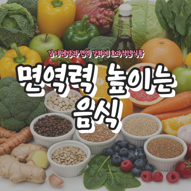  면역력 높이는 음식 - 감기 예방과 면역 강화에 효과적인 식품