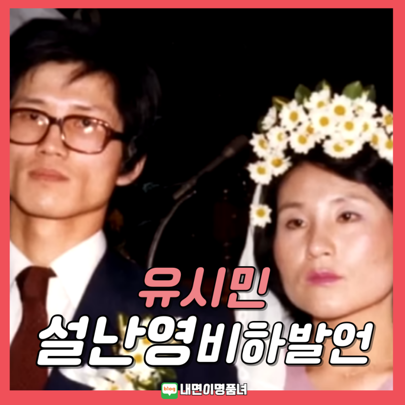 유시민의 김문수 부인 설난영 비하발언, 프로필 배우 김혜은 경솔발언