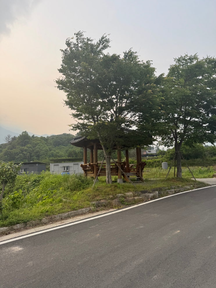  천천히 걷고 따뜻하게 머물기