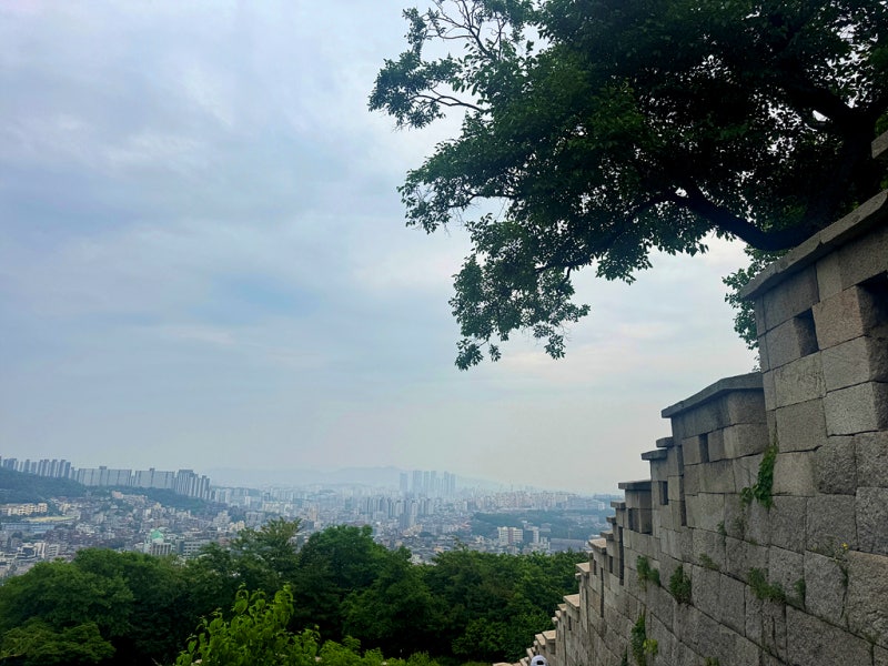 사진 8