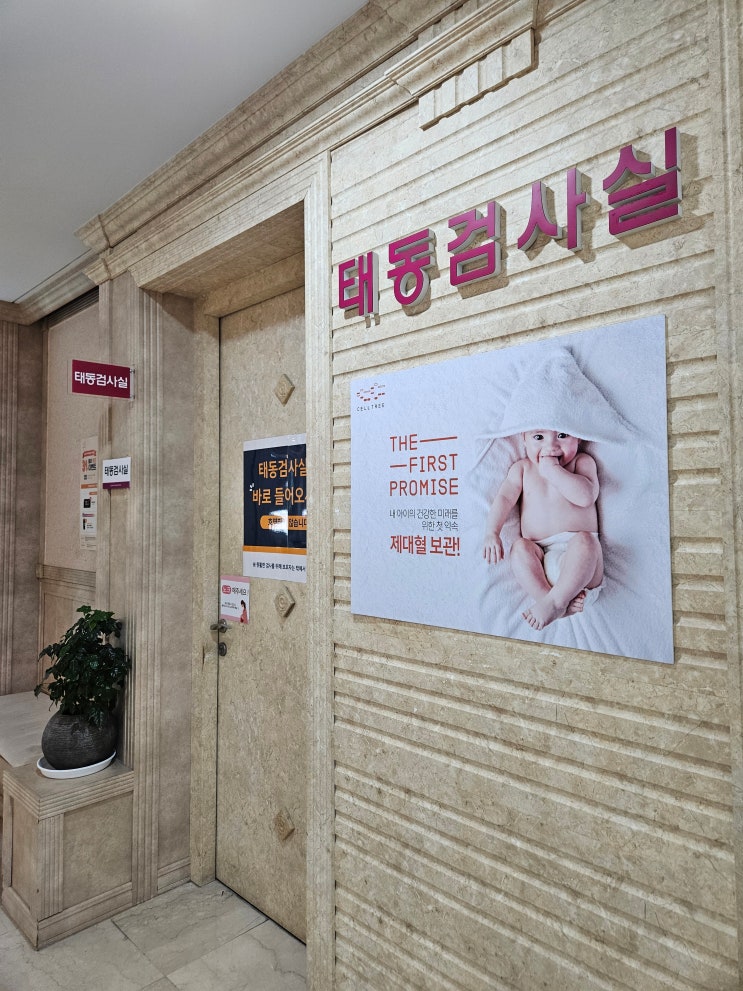 출산 전 증상 및 막달 운동 기록, 임신 39주 5일 태동검사, 내진, 초음파 진료 후기(feat. 유도분만 엔딩)