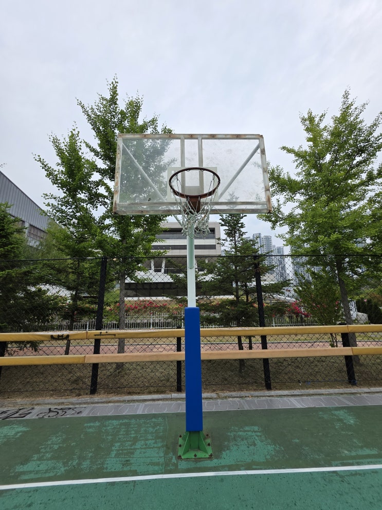  세종시 체육시설 재정비 사업 진행중! 안정성 내구성 강화 종촌동 제천뜰근린공원 농구골대 보호대 제작 설치