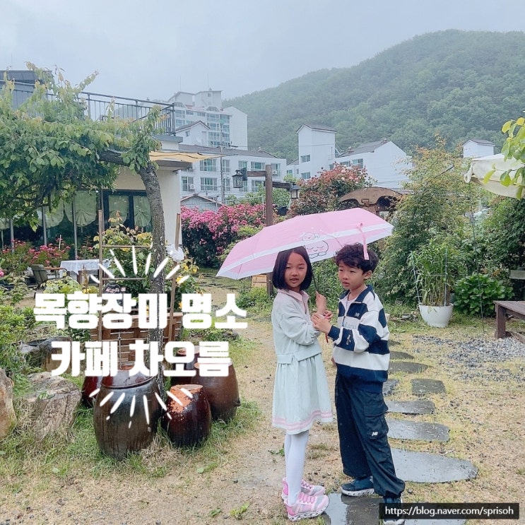 [마산 중리 내서] 목향장미 명소 카페 차오름, 아름다운 꽃 정원과 향긋한 꽃차의 여유(ft.벚꽃 빙수)