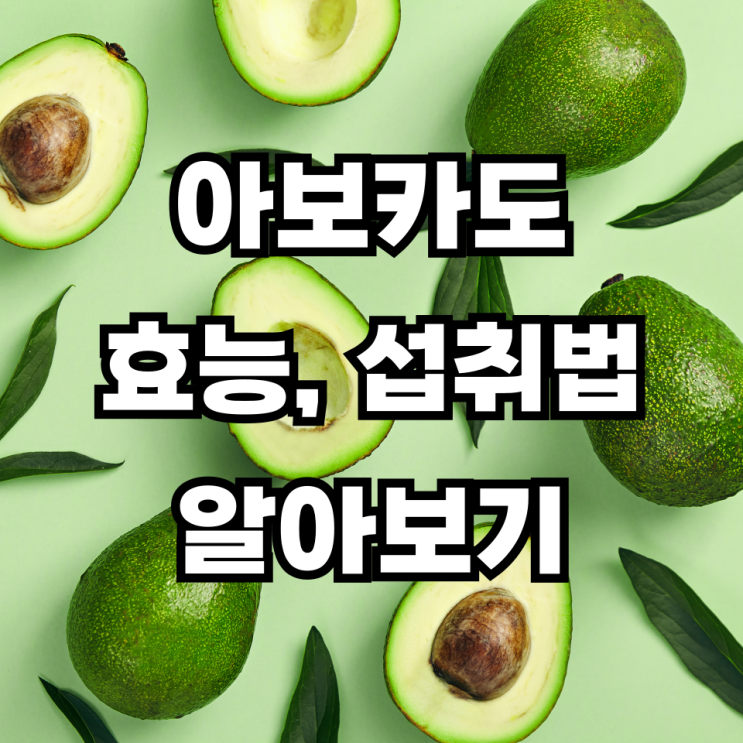 아보카도 효능 섭취법 알아보기