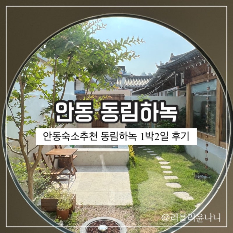 사진 5