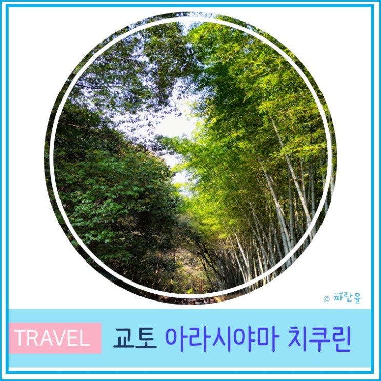  오사카 근교 교토 당일치기 여행 관광 코스 대나무 숲 아라시야마 치쿠린