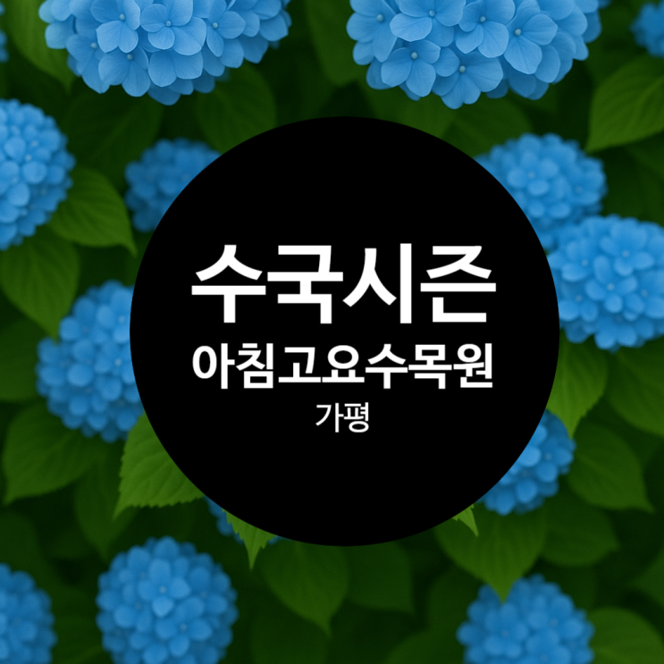  수국철 되면 다시 생각나는 곳 / 가평 아침고요수목원 (아이랑 가는 현실 꿀팁 정리)
