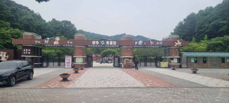  광주 우치공원 동물원 솔직 후기 (아이랑 가기 전 필수 정보!) ft. 패밀리랜드